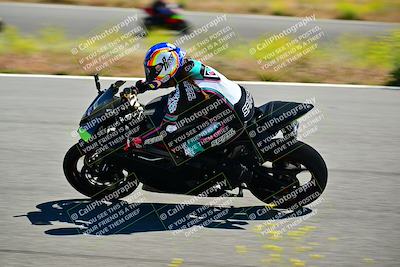 media/May-10-2024-2WTD (Fri) [[c88d7990af]]/Group B/Session 2-The Bowl/